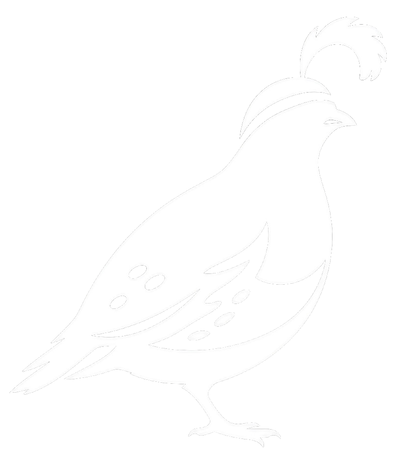 Quayne Enterprises Logo